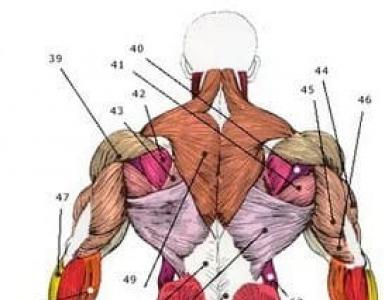 Leg strengthening exercises