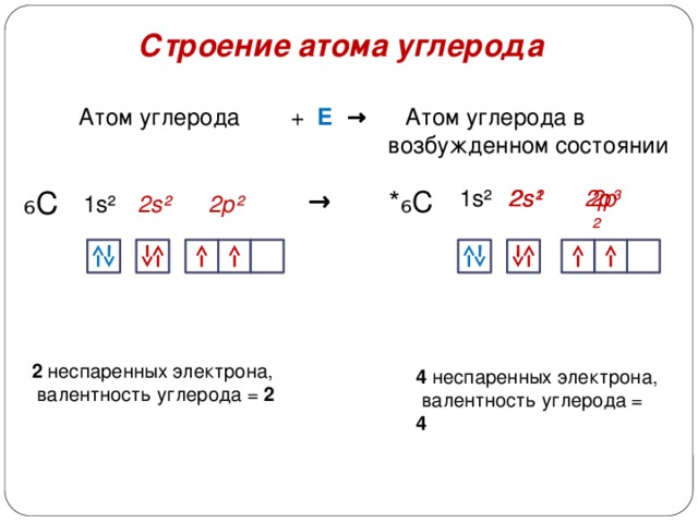 Составьте электронную формулу и схему распределения электронов по орбиталям атома углерода