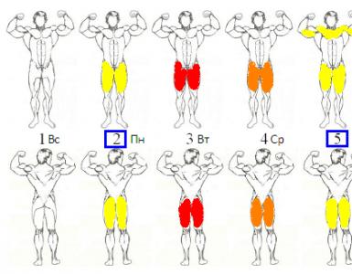 Training of each muscle group once a week
