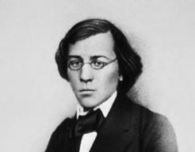 Characteristics of the main characters of the work What to do, Chernyshevsky