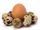 Koľko kalórií je v rôznych druhoch vajec?