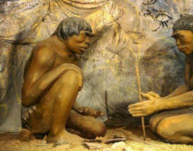 What is a period in biology definition