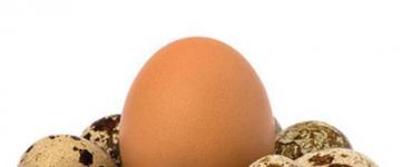 რამდენი კალორია შეიცავს სხვადასხვა სახის კვერცხს?